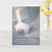 私たち最高のの犬の同情カードを持つ友達 カード (黄色い花)