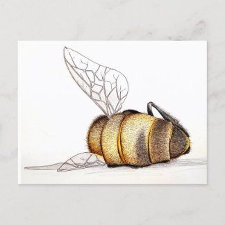 私たち気には? シーズンポストカード