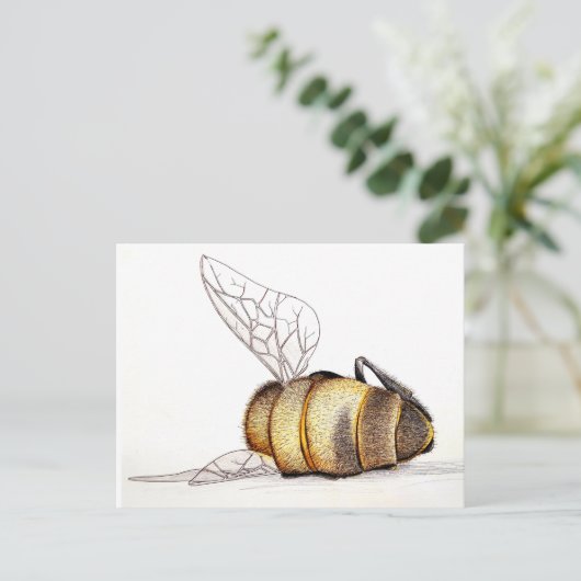 私たち気には? シーズンポストカード (スタンド正面)