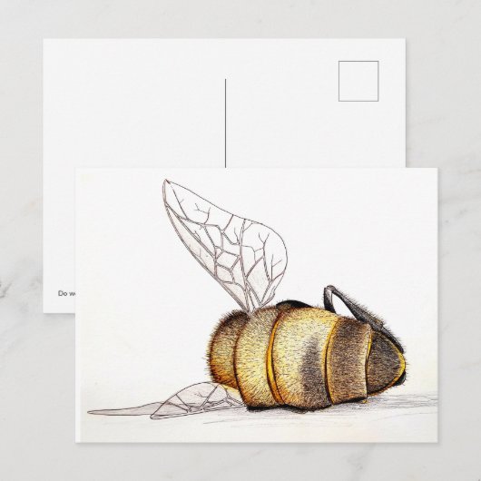 私たち気には? シーズンポストカード (正面/裏面)