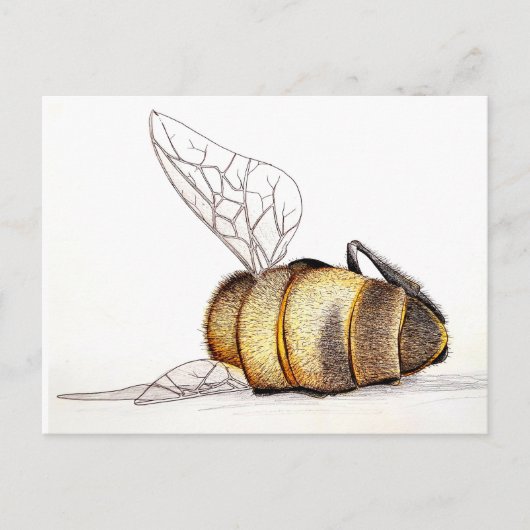 私たち気には? シーズンポストカード (正面)