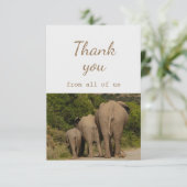 私たち象の動物のおもしろいから サンキューカード (スタンド正面)
