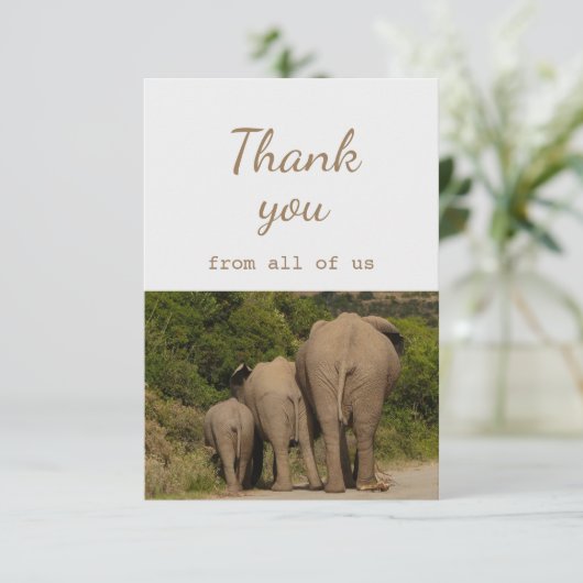 私たち象の動物のおもしろいから サンキューカード (スタンド正面)