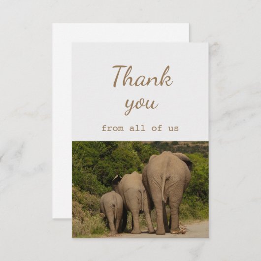 私たち象の動物のおもしろいから サンキューカード (正面/裏面)
