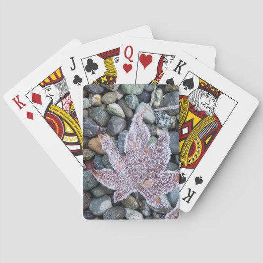 私たち、ワインブリッジ島。早朝霜2 トランプ (裏面)