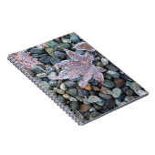 私たち、ワ、ベインブリッジ島。早朝霜2 ノートブック (右側)