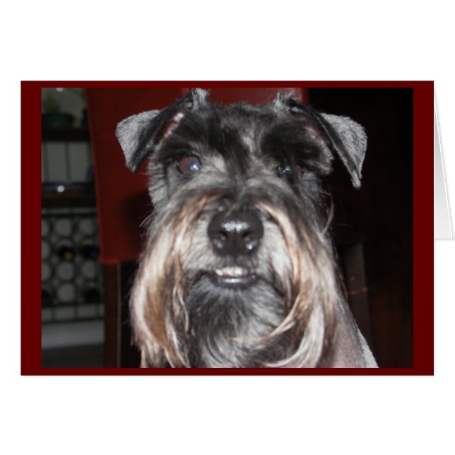 私とのスマイル! (正面横)