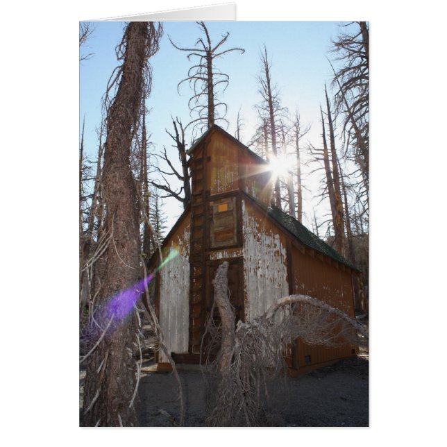 私との大会! -カスタマイズ (正面)