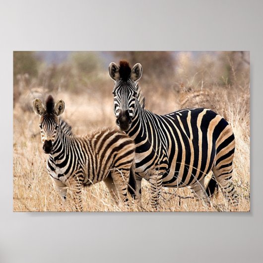 私とママ ポスター (正面)