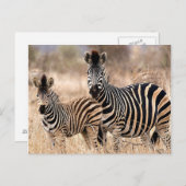 私とママ ポストカード (正面/裏面)