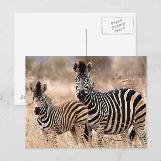 私とママ ポストカード (正面/裏面)