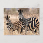 私とママ ポストカード (正面)