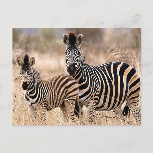 私とママ ポストカード (正面)