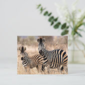 私とママ ポストカード (スタンド正面)