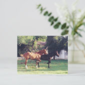 私と影 - ポストカード (スタンド正面)