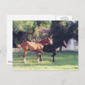 私と影 - ポストカード (正面/裏面)