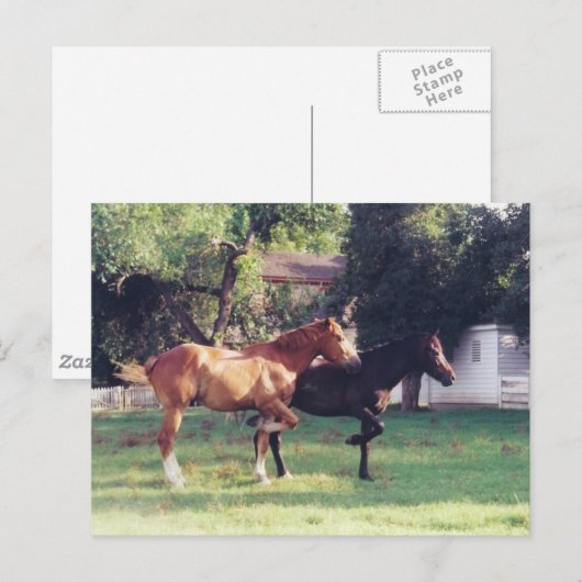 私と影 - ポストカード (正面/裏面)