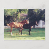 私と影 - ポストカード (正面)