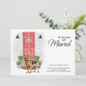 私と犬はドイツの羊飼いを引っ越した 案内状 (スタンド正面)