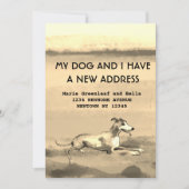 私と犬は発表を引っ越した 案内状 (正面)