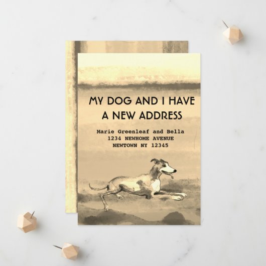 私と犬は発表を引っ越した 案内状 (正面/裏面インサイチュ)