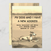私と犬は発表を引っ越した 案内状 (正面/裏面)