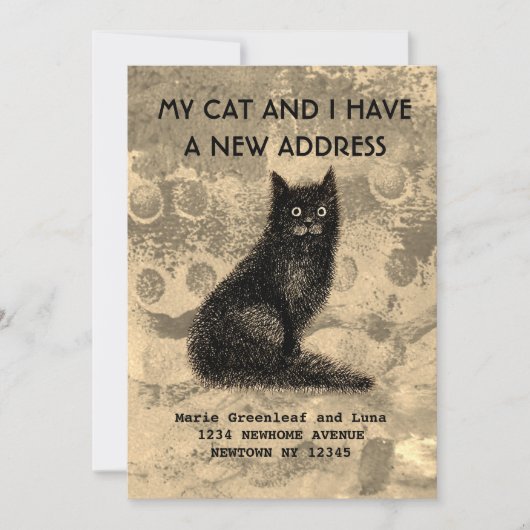 私と猫が感動した 案内状 (正面)