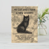 私と猫が感動した 案内状 (スタンド正面)