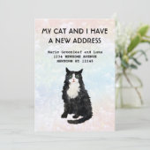 私と猫が感動した 案内状 (スタンド正面)