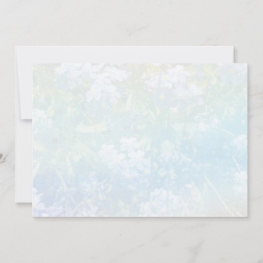 私と猫が感動した 案内状 (裏面)