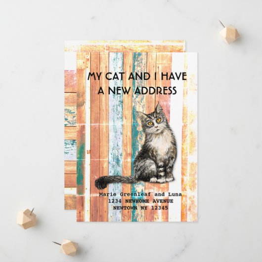 私と猫が感動した 案内状 (正面/裏面インサイチュ)