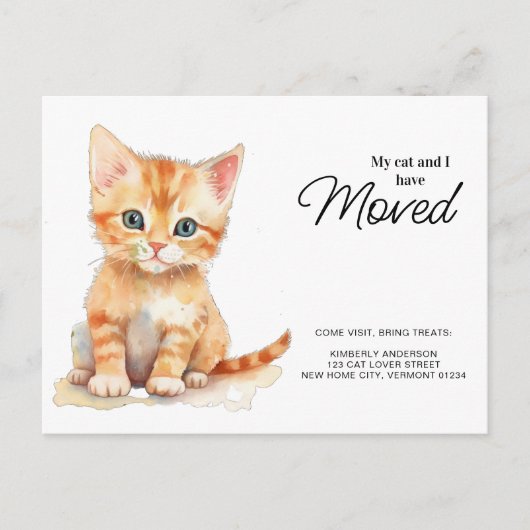 私と猫はオレンジ色の子猫を動かしている 案内ポストカード (正面)