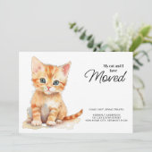 私と猫はオレンジ色の子猫を動かしている 案内状 (スタンド正面)