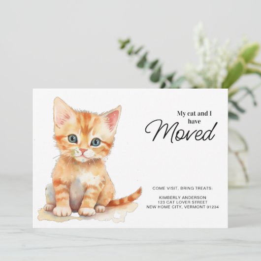 私と猫はオレンジ色の子猫を動かしている 案内状 (スタンド正面)