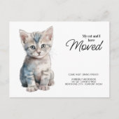 私と猫はグレーの子猫を引っ越してきた 案内ポストカード (正面)