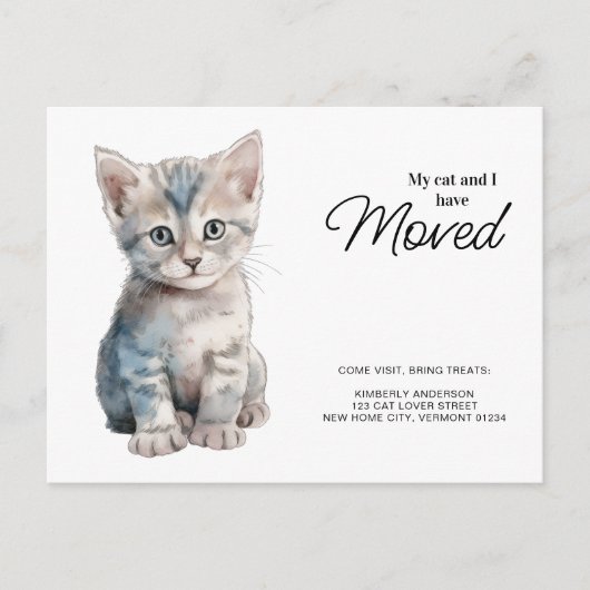 私と猫はグレーの子猫を引っ越してきた 案内ポストカード (正面)
