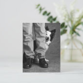 私と私の影 – Collie Dog ポストカード (スタンド正面)