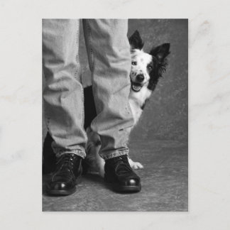 私と私の影 – Collie Dog ポストカード