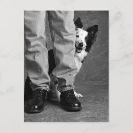 私と私の影 – Collie Dog ポストカード