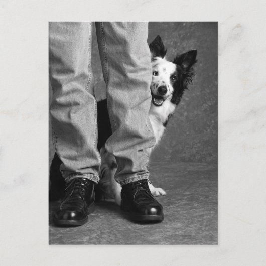 私と私の影 – Collie Dog ポストカード (正面)