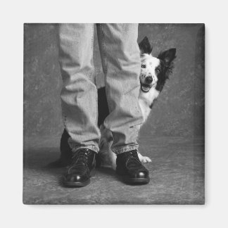 私と私の影 – Collie Dog マグネット