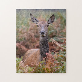 私と話してるの？- 11x14 - 252個 ジグソーパズル