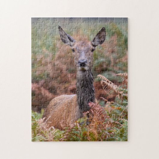 私と話してるの？- 11x14 - 252個 ジグソーパズル (縦)