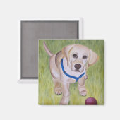 私と遊。黄色のラブラドールレトリエバーMagnent マグネット (正面/裏面)