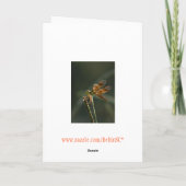 私と飛遠くにぶトンフライのバレンタイン シーズンカード (裏面)