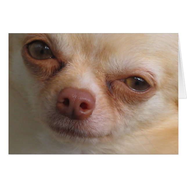 私にあなたのための目だけがあります (正面横)