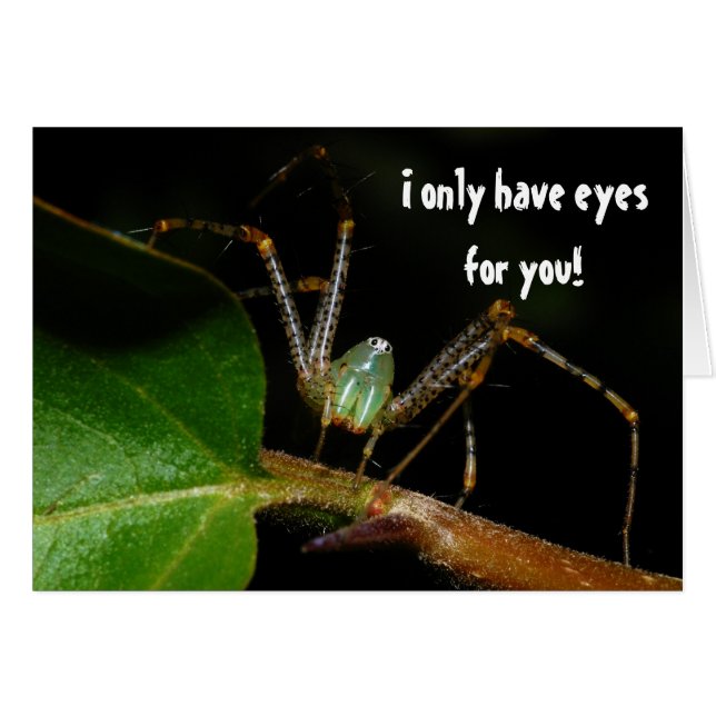 私にあなたのための目だけがあります (正面横)