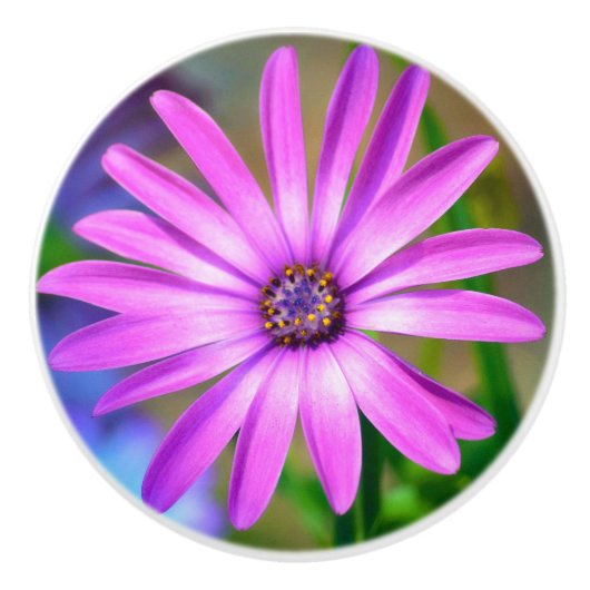 私についてデイジーのセラミックノブ セラミックノブ (正面)