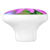 私についてデイジーのセラミックノブ セラミックノブ (側面)