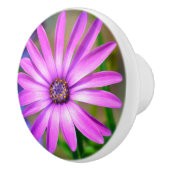 私についてデイジーのセラミックノブ セラミックノブ (右)